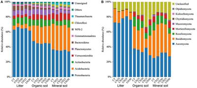 Canopy and Understory Nitrogen Addition Alters Organic Soil Bacterial Communities but Not Fungal Communities in a Temperate Forest